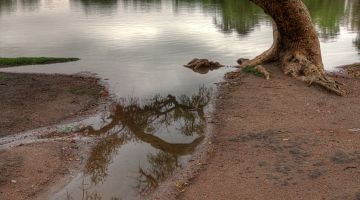 Mein alternativer Text